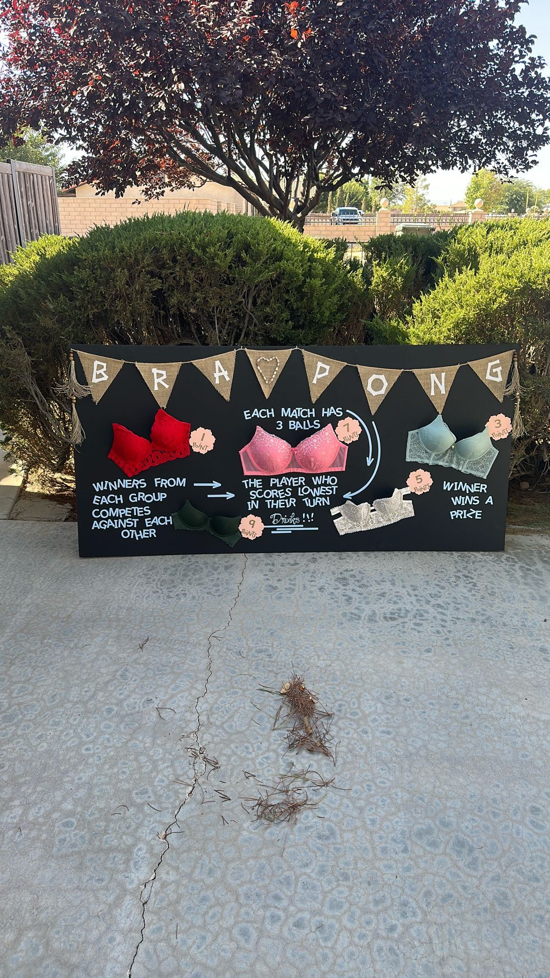 Bridal Shower Bra Pong Drinking Game