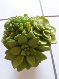 Unique plant look alike CANDLE