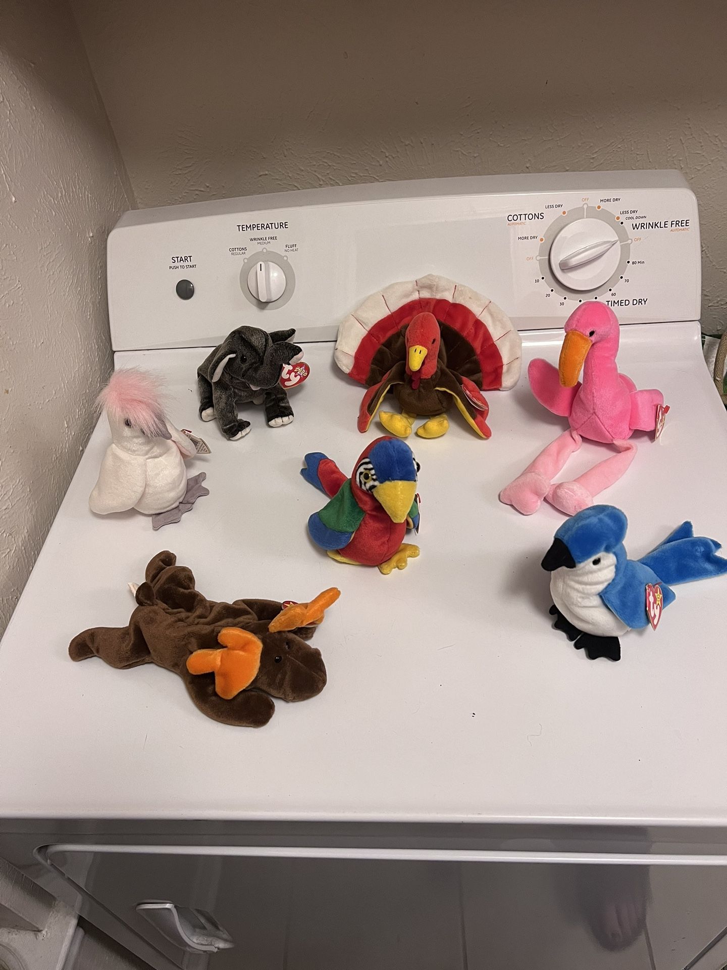 Lot of Bird Beanie Babies Plus