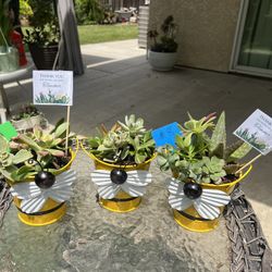 Teacher Appreciation Gifts