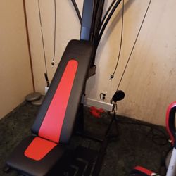 Bowflex Home Gym