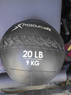 Prosourcefit 20lb Gym Ball