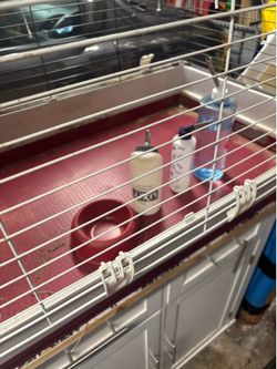 Rabbit Or Guinea cage