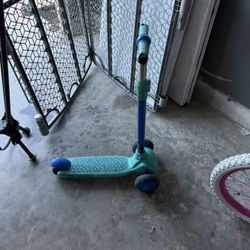 Toddle Scooter
