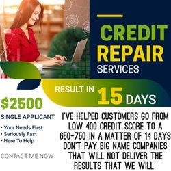 Credit Repair Software 