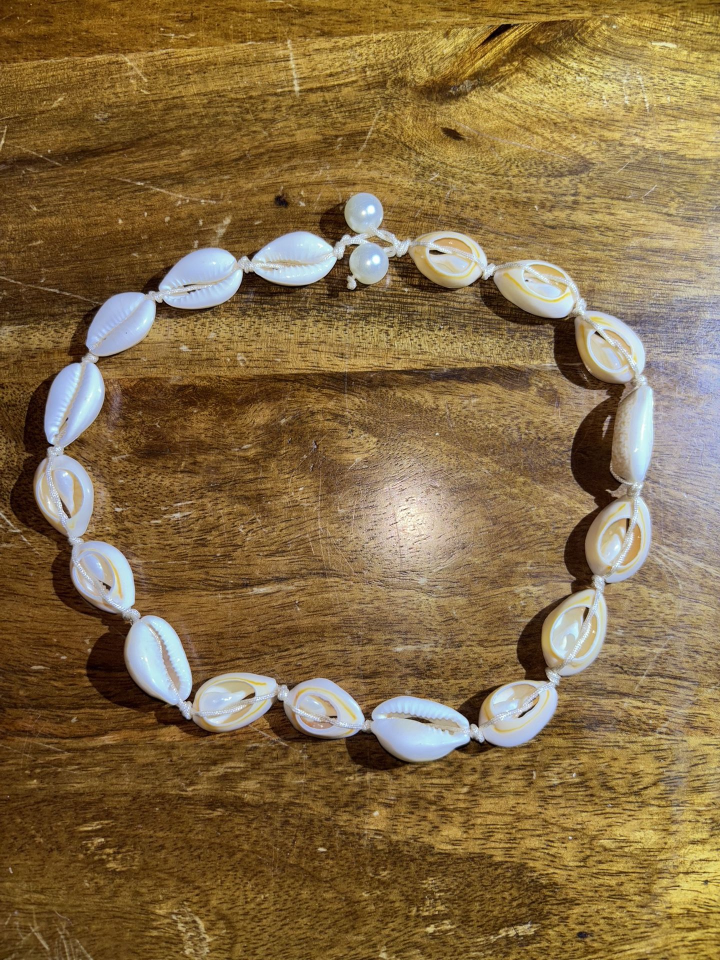 Sea Shell Choker Necklace 16 In