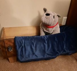 unique dog beds