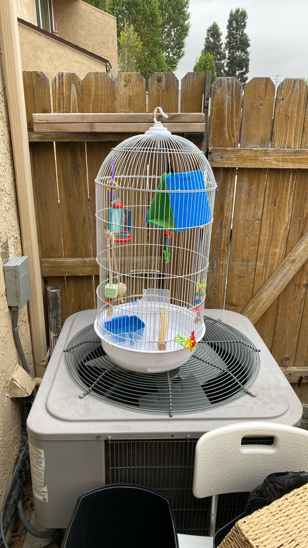 Bird Cage