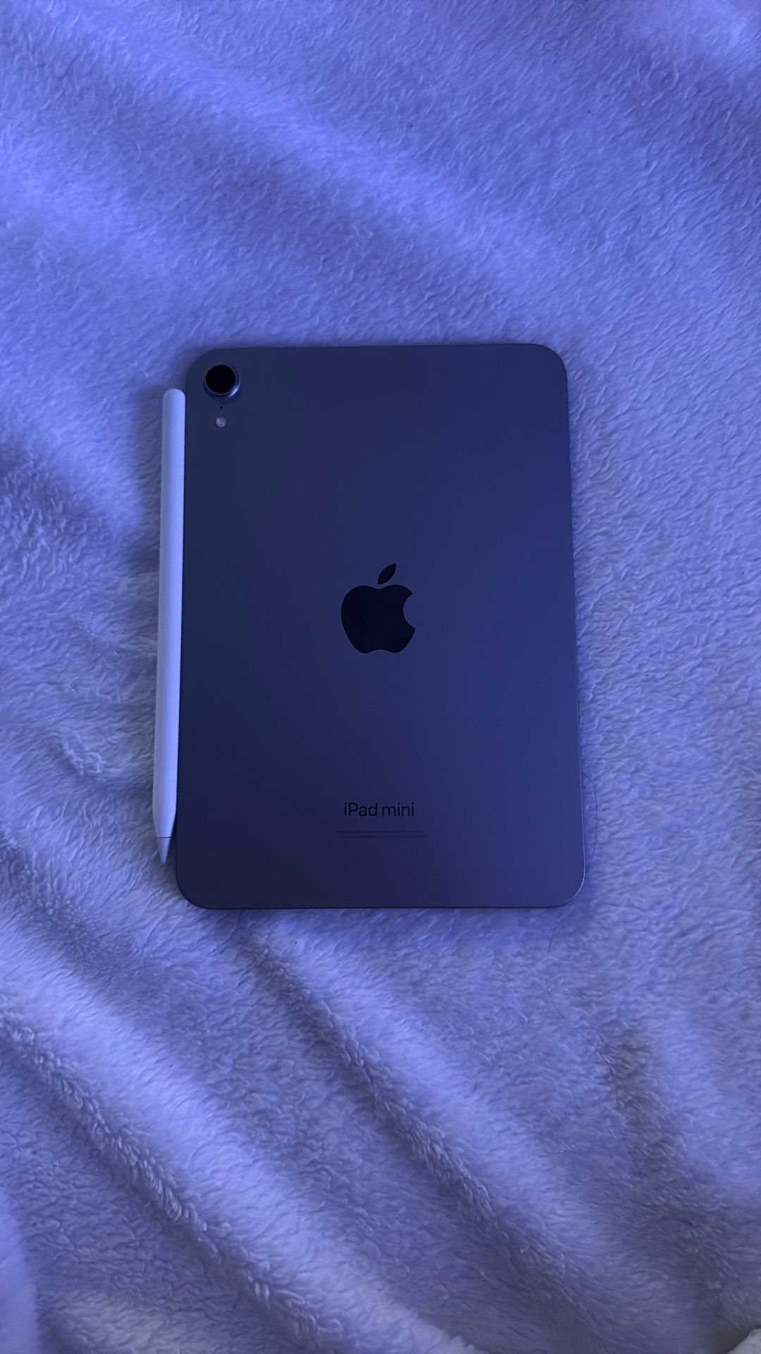 iPad Mini 2024 With Apple Pencil Pro