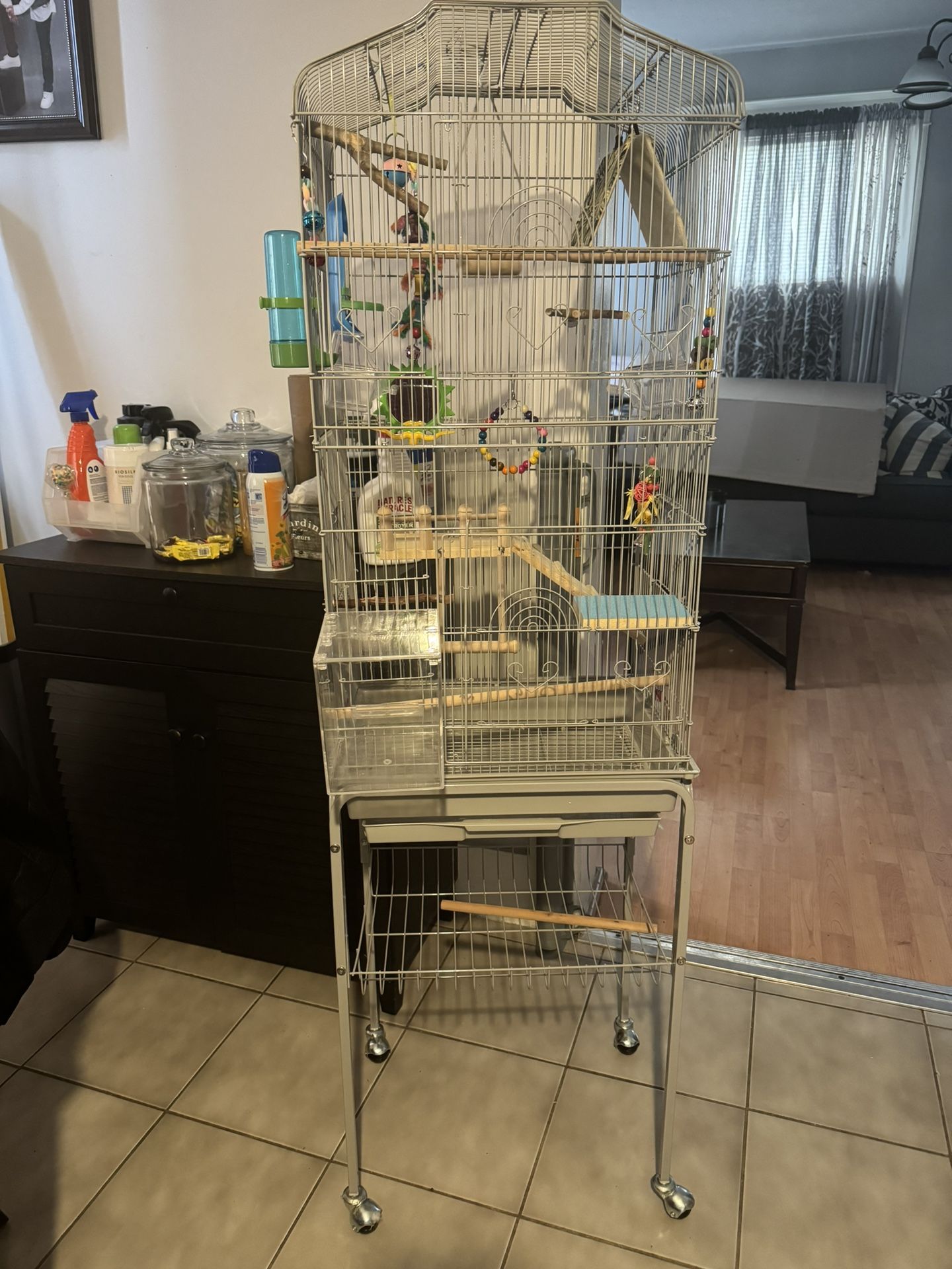 Items For Parakeets 