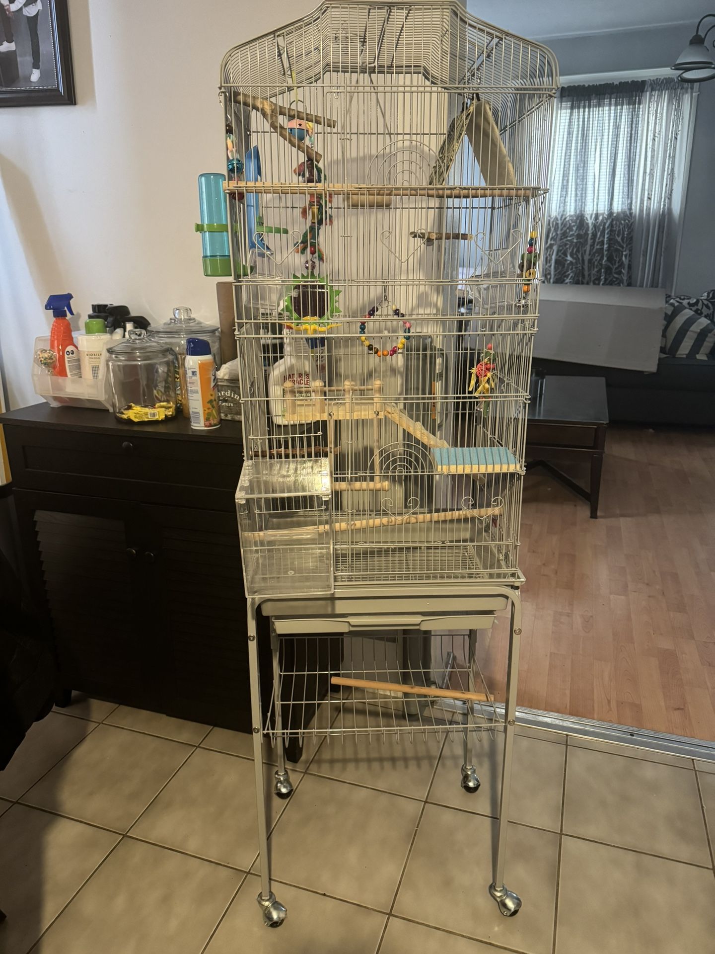 Items For Parakeets