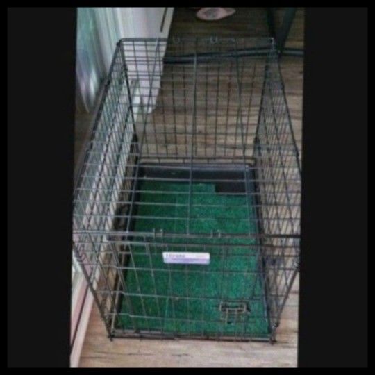 Dog Cage 