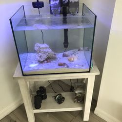 Fish Tank Waterbox, Filter & Mangowood Stand
