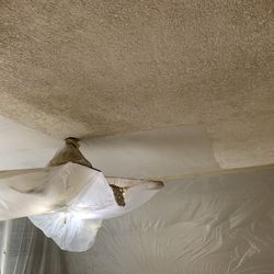 Drywall/Tapping/Paint