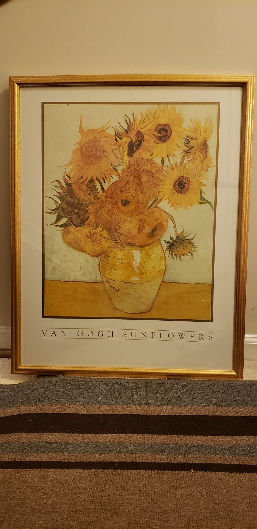 Framed wall art. Flower themed (Mostly)