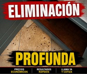 Miguelmatafumitodo Economico