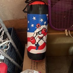 Kids Small Punching Bag No Rips