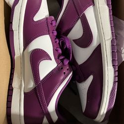Kids Nike Dunks Low