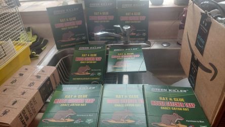 Rat & mouse glue traps