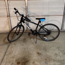 Giant Escape JR Bike
