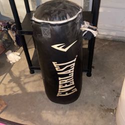 Everlast Punching Bag