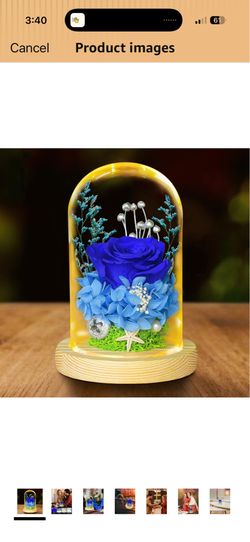Preserved Rose Flowers Beauty and The Beast Rose Flower Gifts For Women,Eternal Rose Gifts For Her,Glass Rose Flower Gift for Mom Wife on Mother's Day