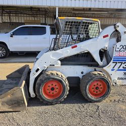 Bobcat