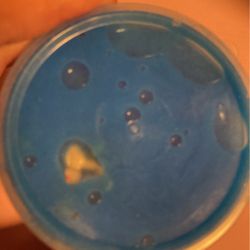 Baby Slime