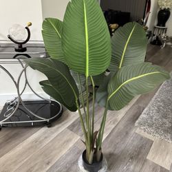 Pretty Artificial Plant 4 Ft Tall! Brand New