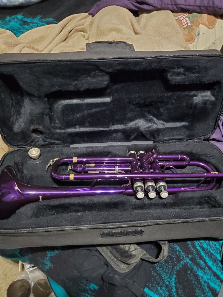 Purple Trumpet By Mendini