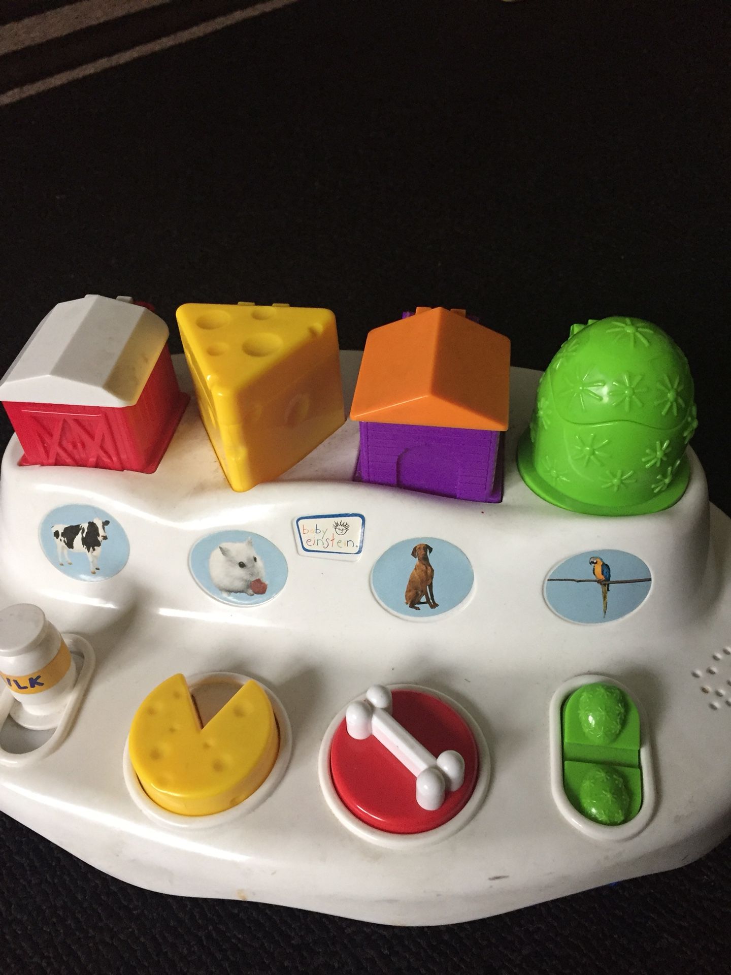 Baby Einstein musical animal pop-up pals toy