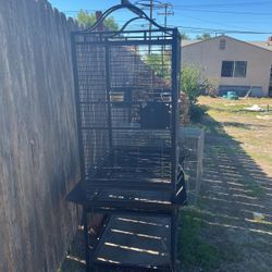 Bird Cage