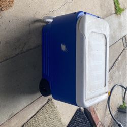 Igloo Cooler
