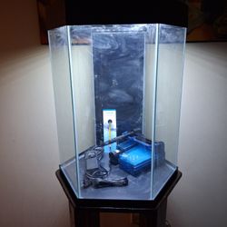 Hexagon Aquarium 