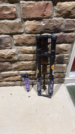 2025 Fast ace Falcon pro