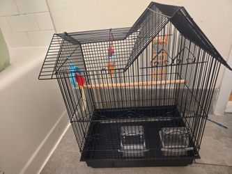 Parakeet cage