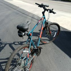 Gt Mountain Bike