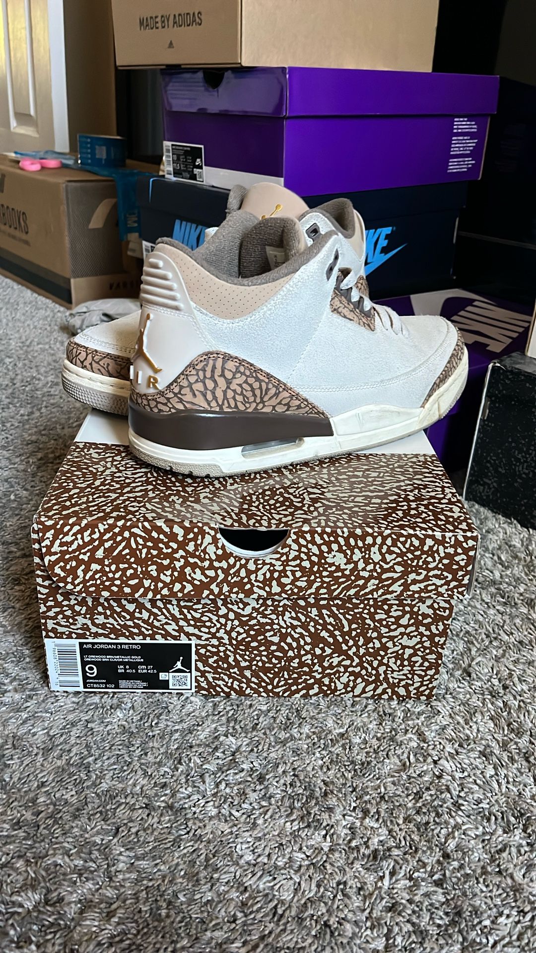 Air Jordan 3s