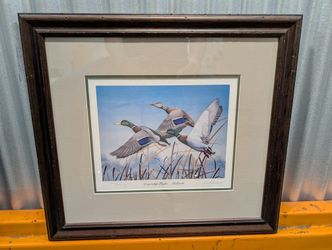 Framed Mallard Ducks Print