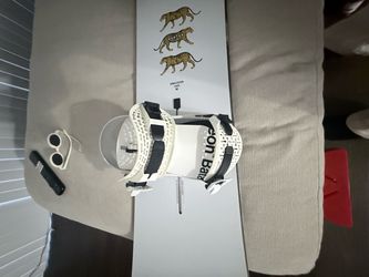 Snowboard with Binding