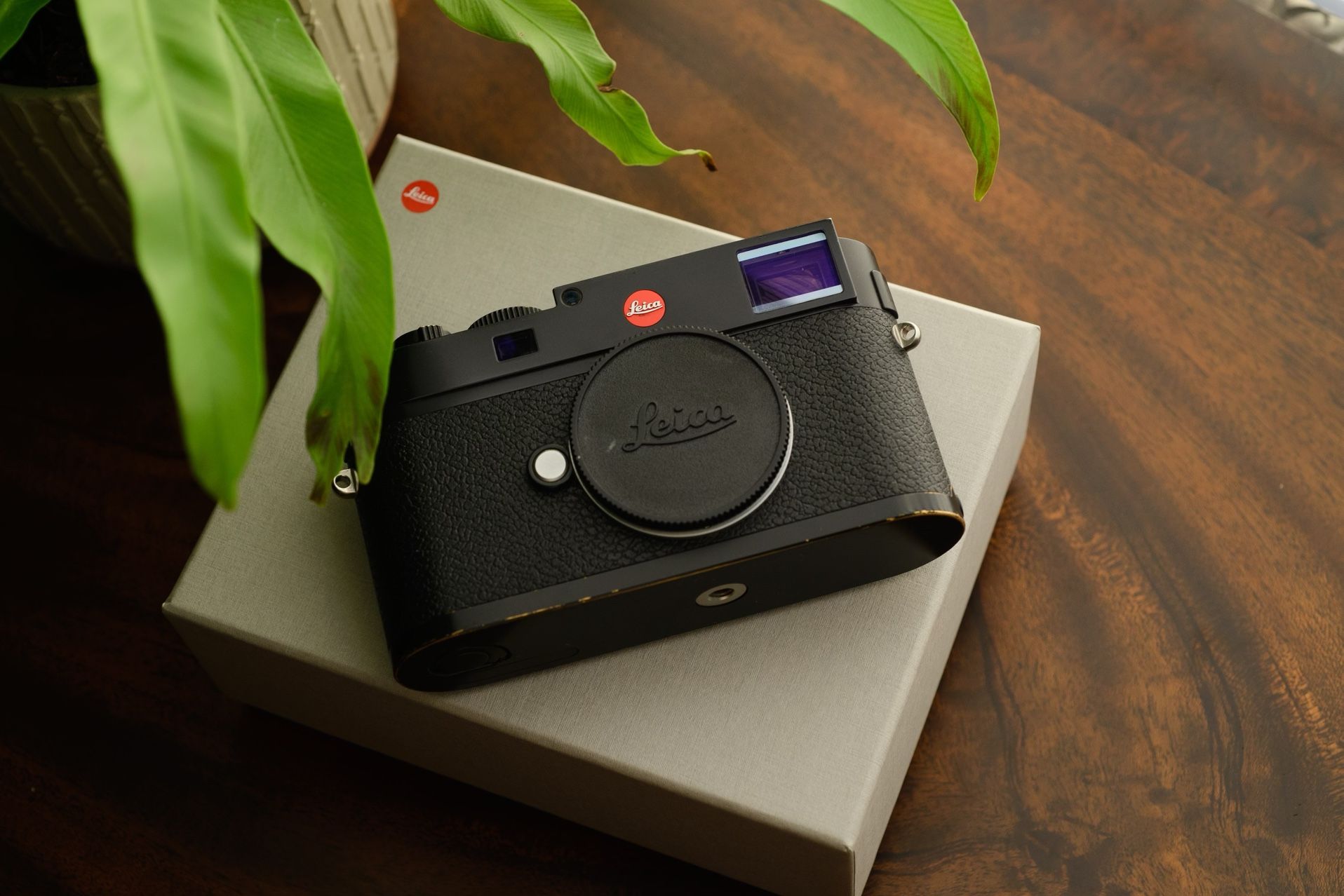 Leica M type 262 Digital Camera