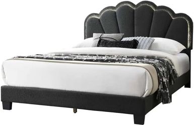 Queen size led bed with orthopedic mattress included