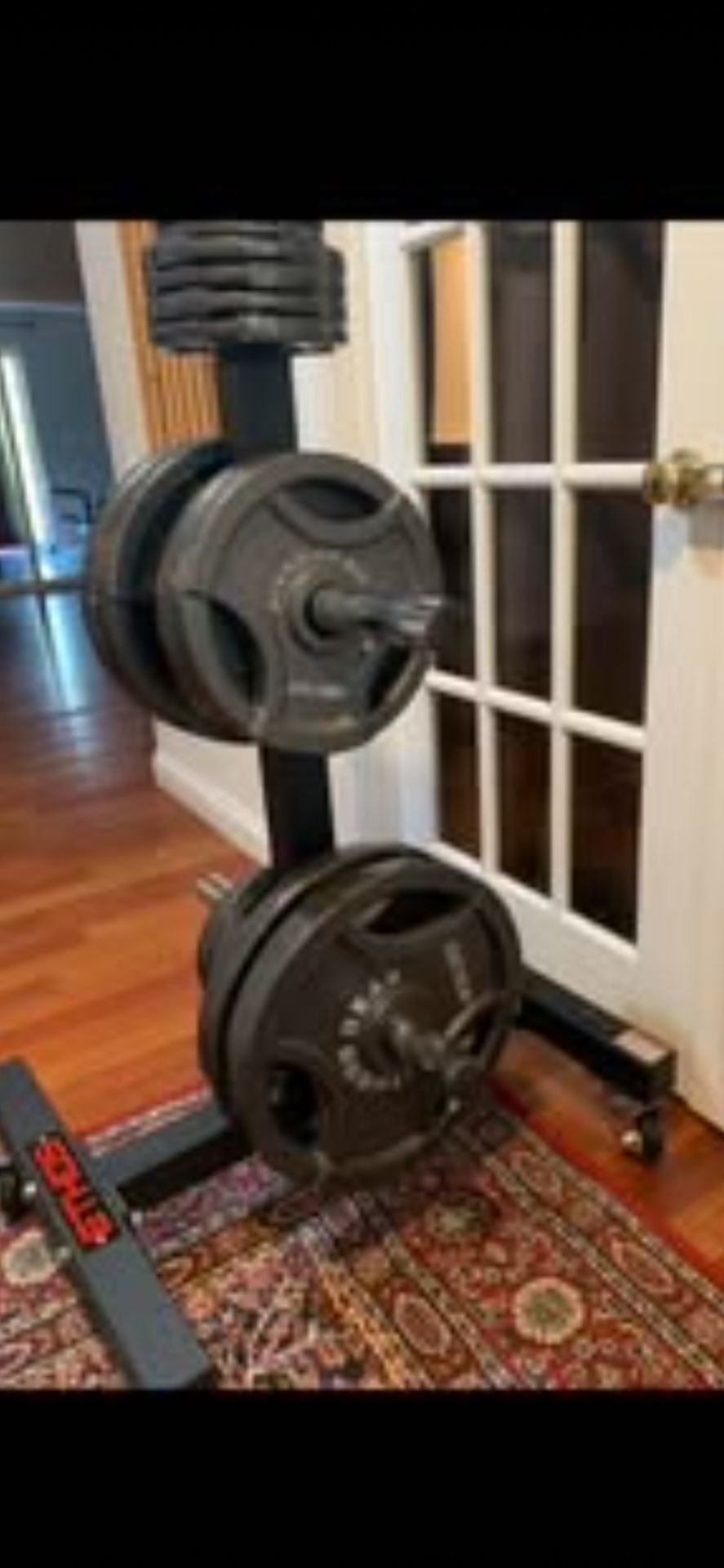Set Of 255 Lbs Olympic Weights Plates