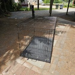 Large Dog Crate