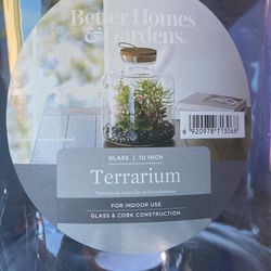 Glass 10 Inch Terrarium