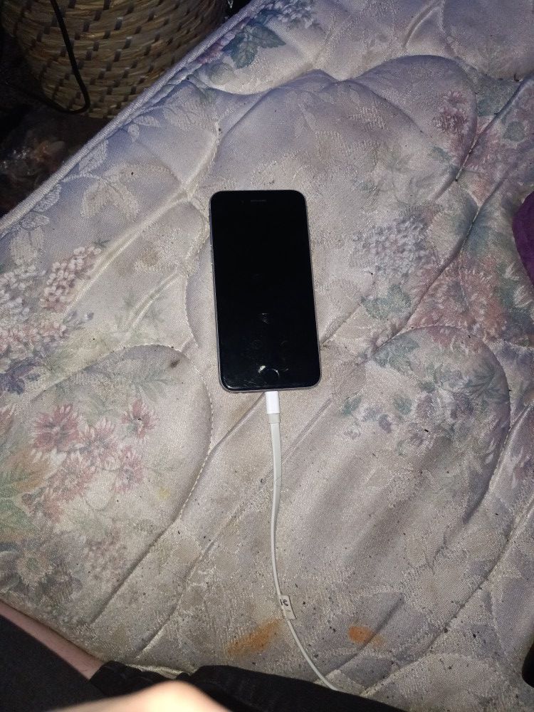 Functional iPhone S w/ Charger