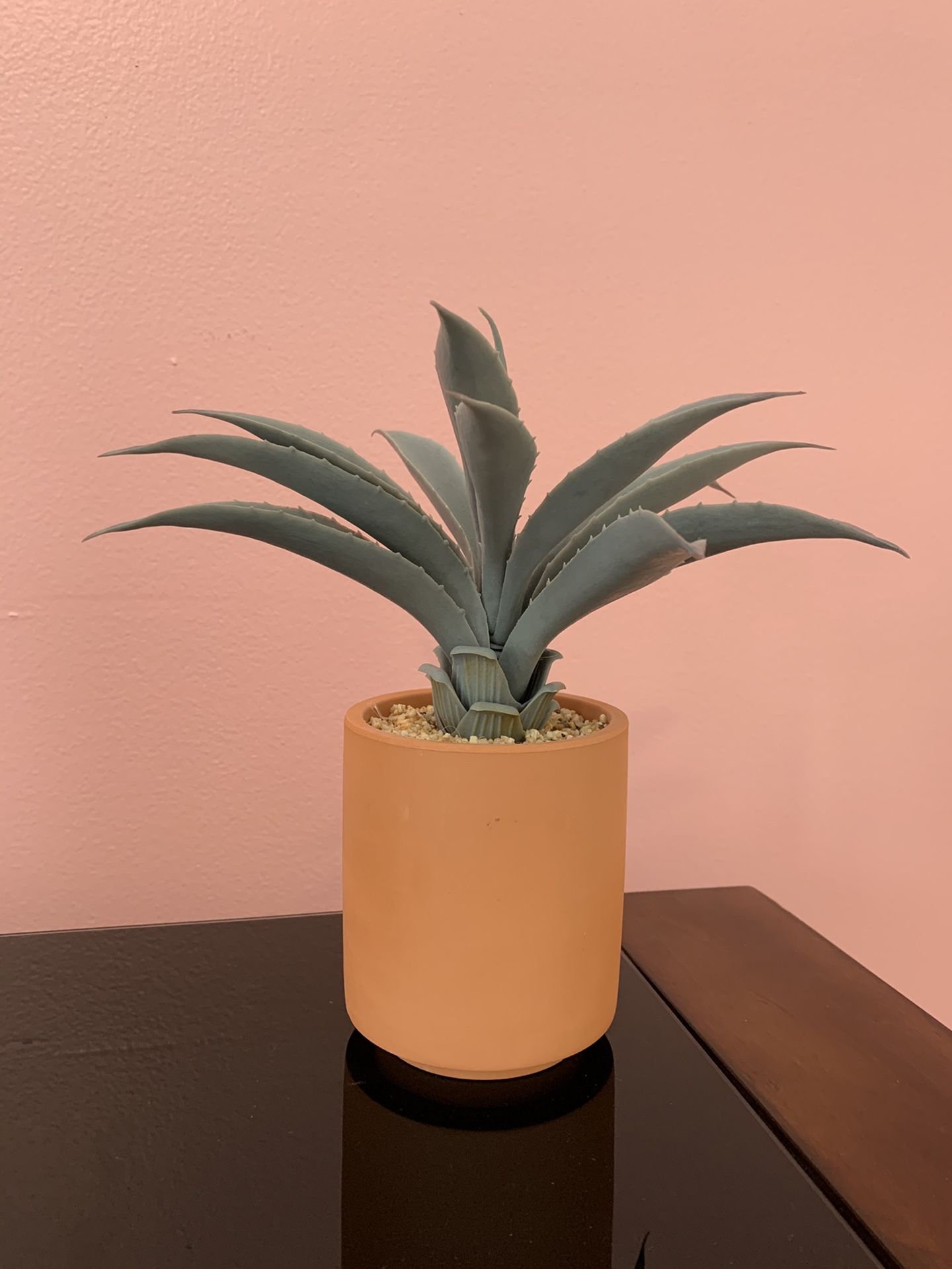 Small, Fake, Home Decor Plant!