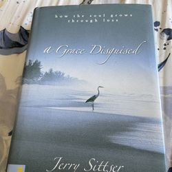 a grace Disguised Book 