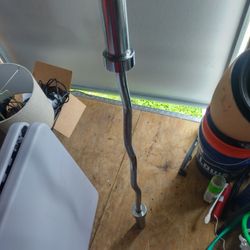 Olympic Weight Curve Bar.