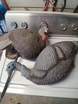 Turkey decoys